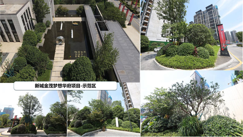湖南柏嘉兄弟園林建設有限公司-企業(yè)宣傳 - 副本_47.jpg