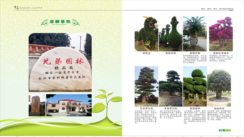 湖南柏嘉兄弟園林建設有限公司-企業(yè)宣傳 - 副本_96.jpg