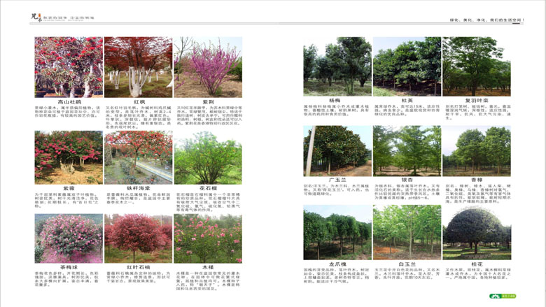 湖南柏嘉兄弟園林建設有限公司-企業(yè)宣傳 - 副本_100.jpg