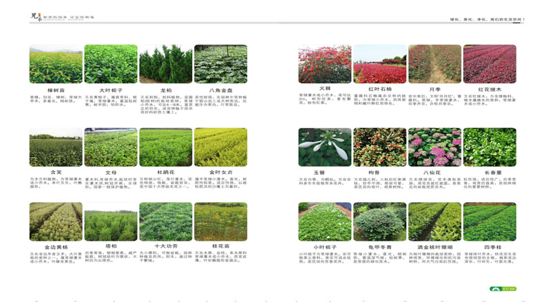 湖南柏嘉兄弟園林建設有限公司-企業(yè)宣傳 - 副本_101.jpg