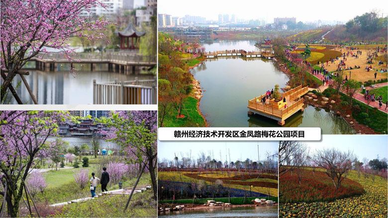 湖南柏嘉兄弟園林建設有限公司-企業(yè)宣傳 - 副本_66.jpg